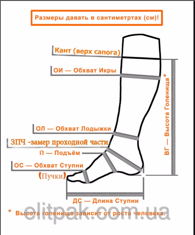 Размер голенища